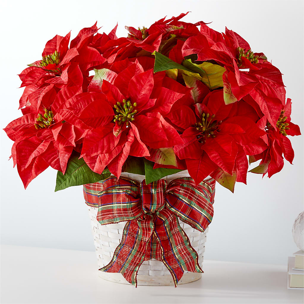 Happiest Holidays Poinsettia – Maroa Miami Llc, Miami FL