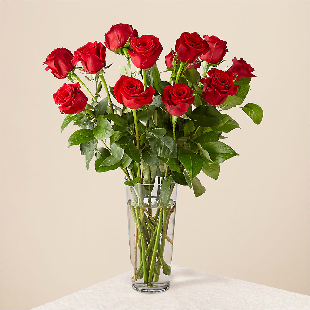 Long Stem Red Rose Bouquet – Maroa Miami Llc, Miami FL