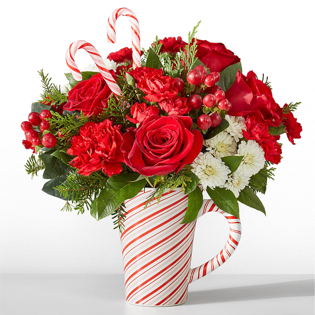 Peppermint Swirl Mug – Maroa Miami Llc, Miami FL