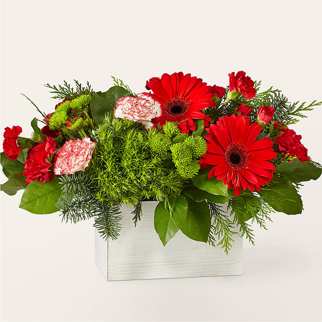 The Rudolph Bouquet – Maroa Miami Llc, Miami FL
