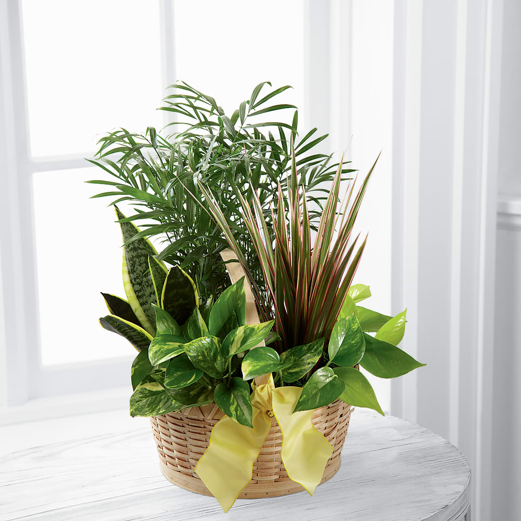 French Garden – Maroa Miami Llc, Miami FL