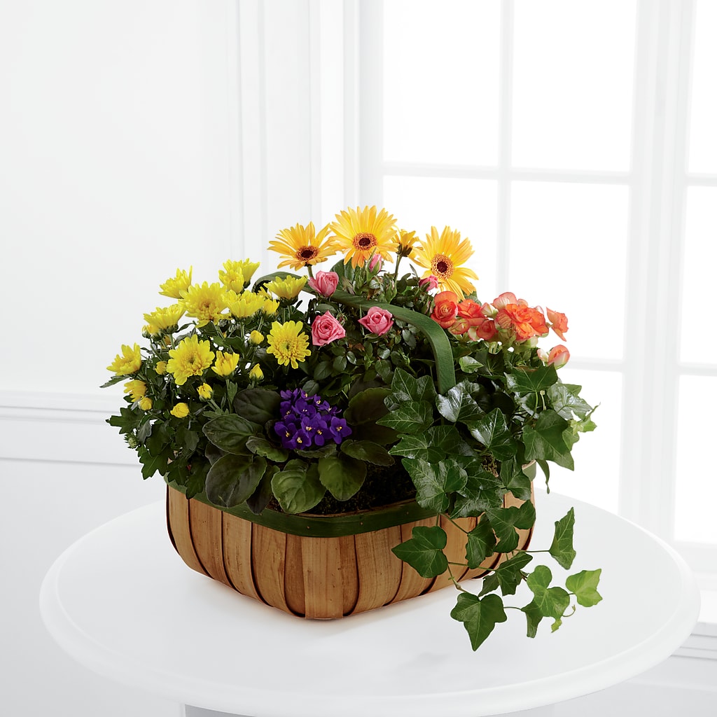 Gentle Blossoms Basket – Maroa Miami Llc, Miami FL