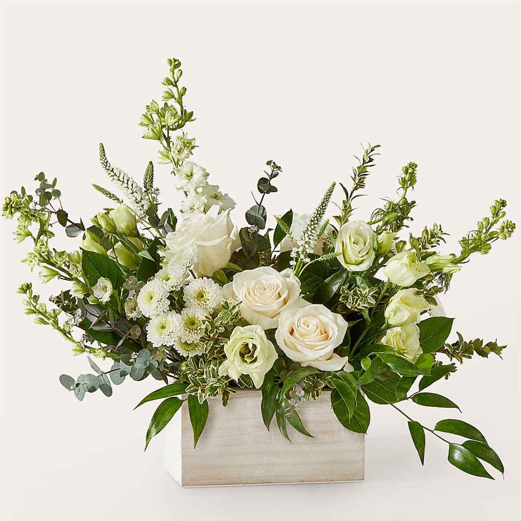 Cashmere Bouquet – Maroa Miami Llc, Miami FL