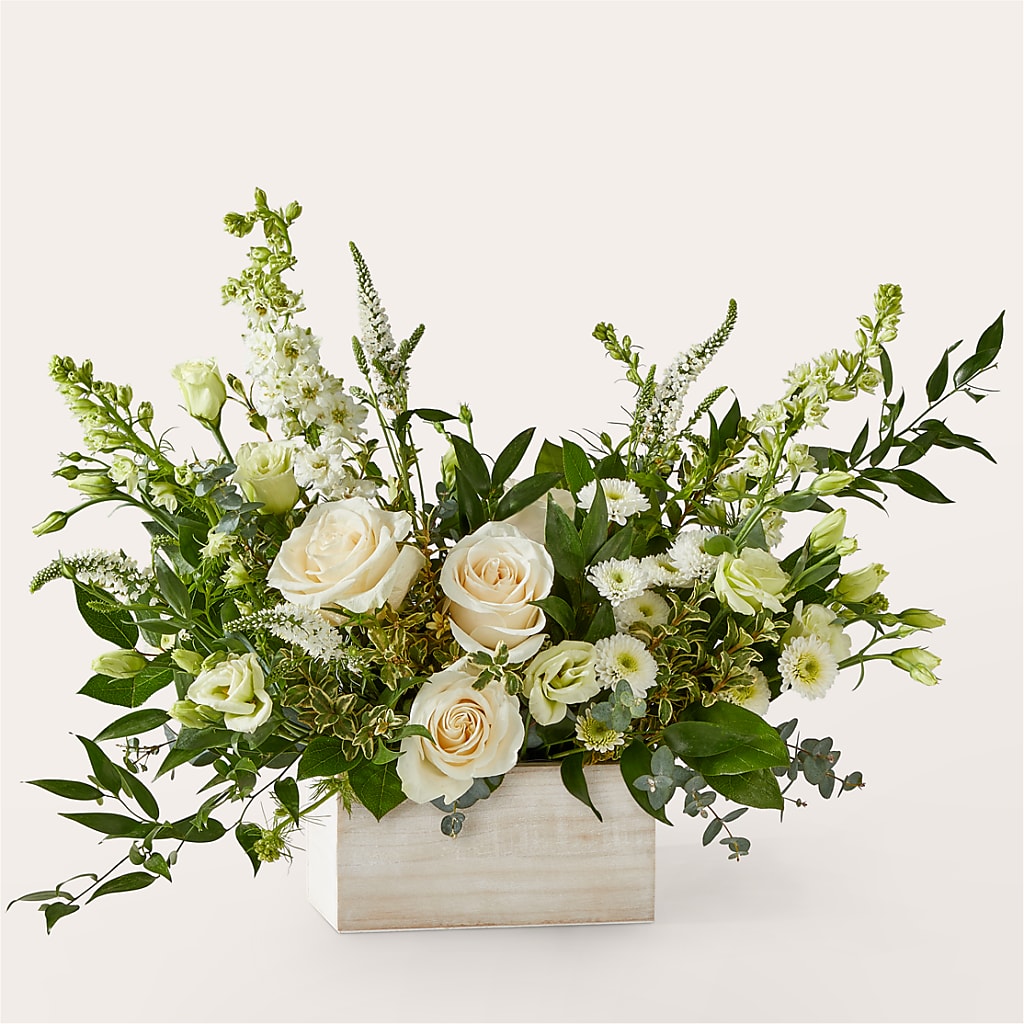 Cashmere Bouquet – Maroa Miami Llc, Miami FL