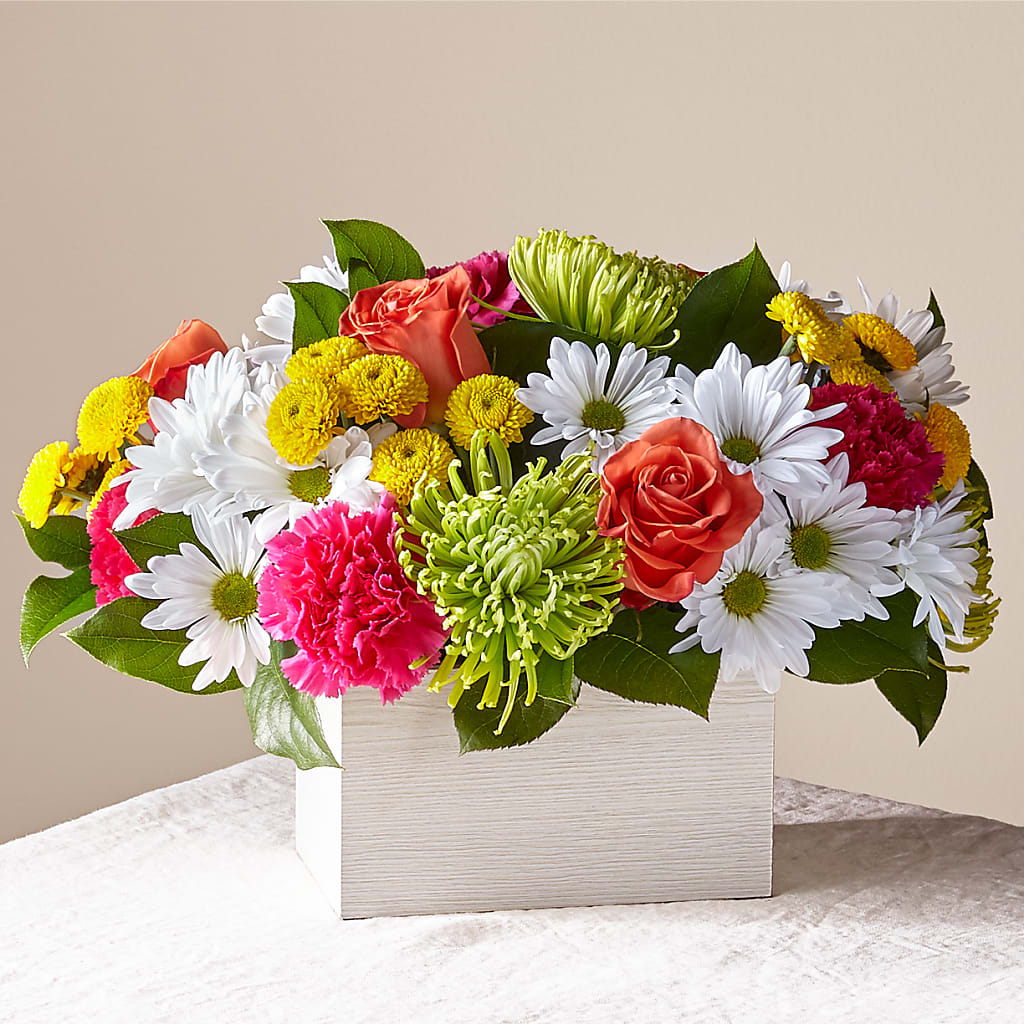 Sorbet Bouquet – Maroa Miami Llc, Miami FL
