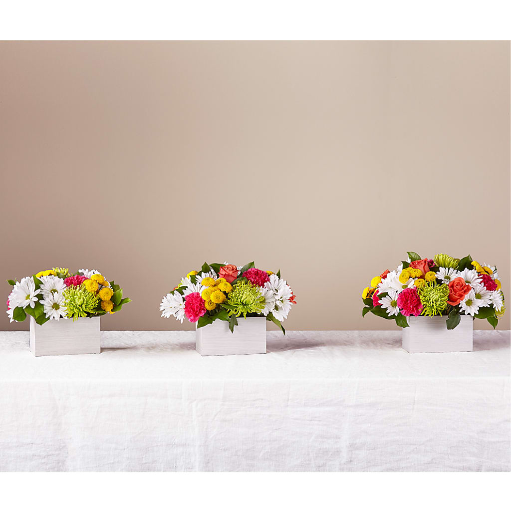 Sorbet Bouquet – Maroa Miami Llc, Miami FL