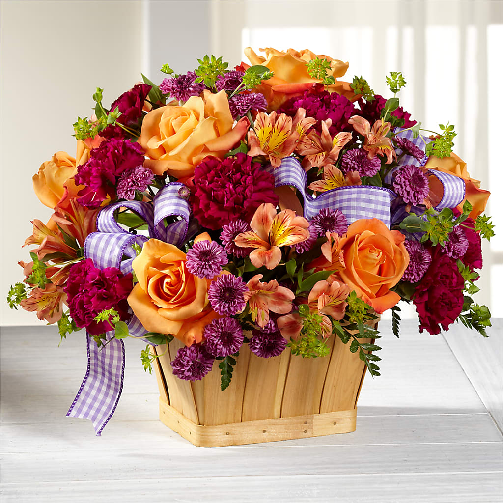 New Dream Basket – Maroa Miami Llc, Miami FL