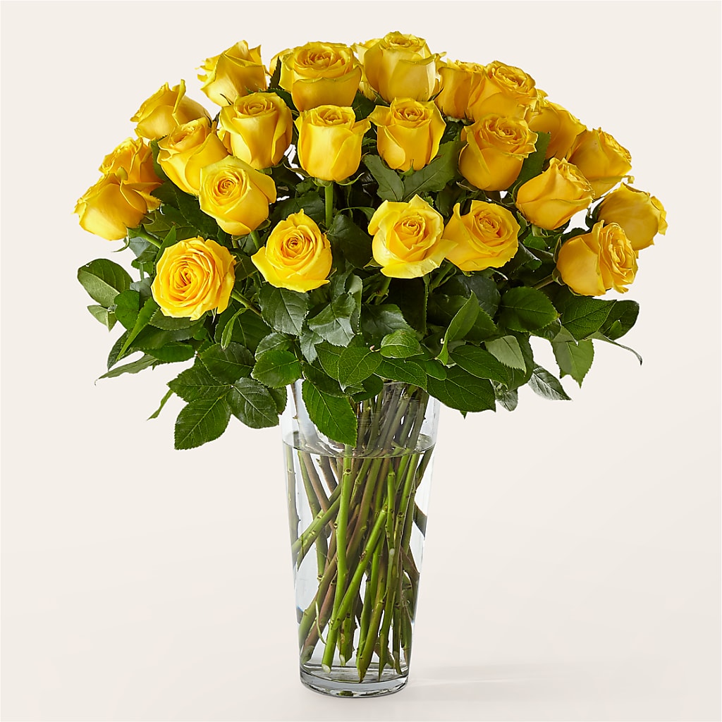 Long Stem Yellow Rose Bouquet – Maroa Miami Llc, Miami FL