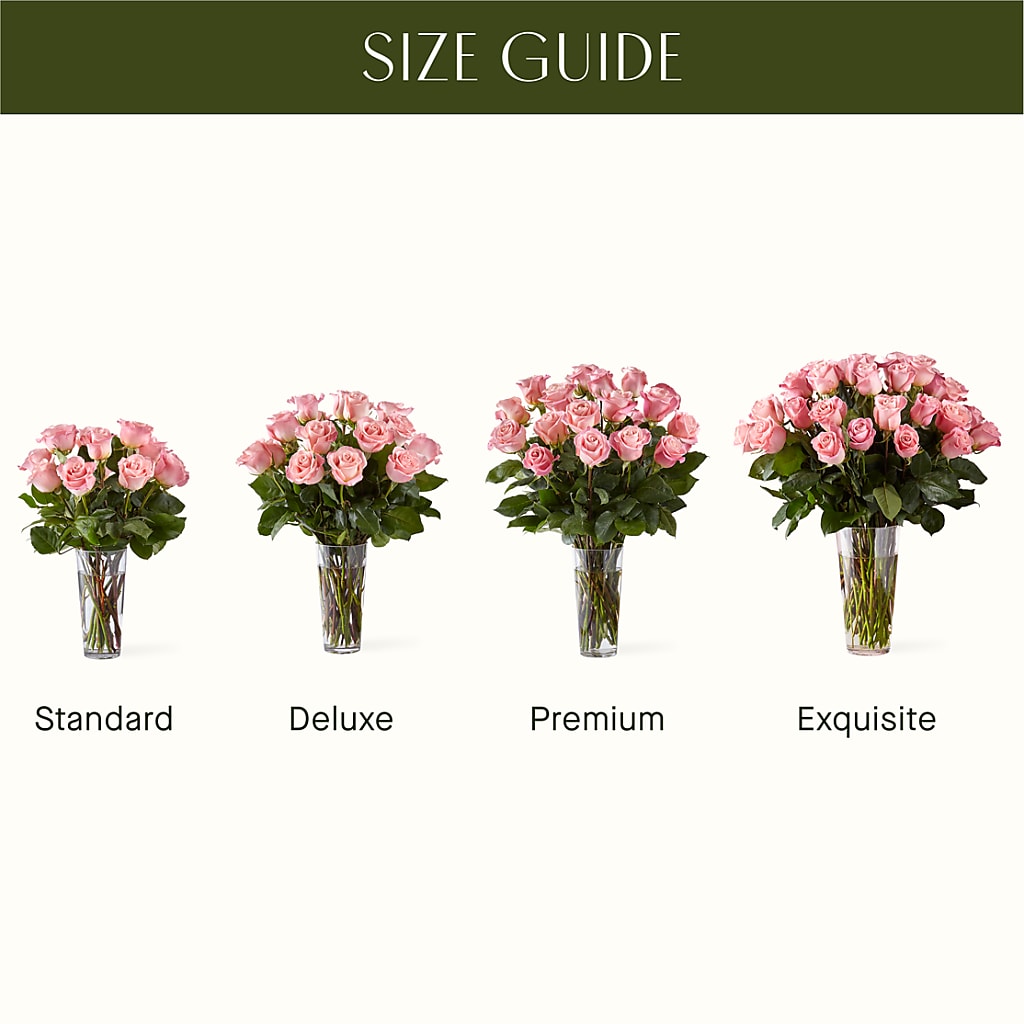 Long Stem Pink Rose Bouquet – Maroa Miami Llc, Miami FL
