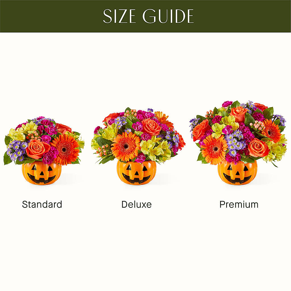 Tricks & Treats Pumpkin – Maroa Miami Llc, Miami FL