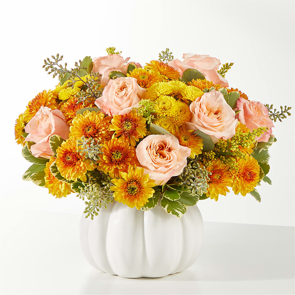 Peachy Pumpkin – Maroa Miami Llc, Miami FL