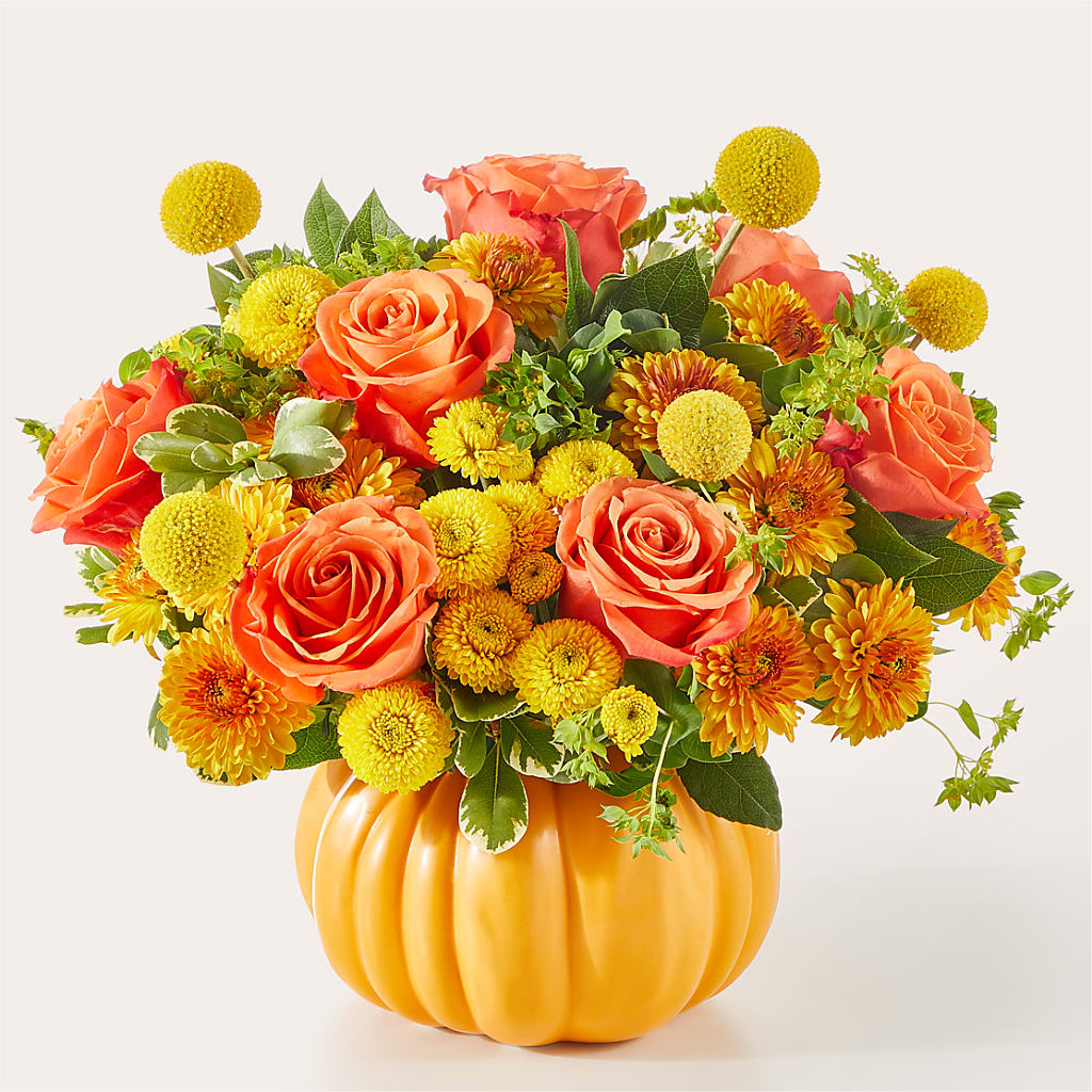 Gourdgeous Pumpkin – Maroa Miami Llc, Miami FL