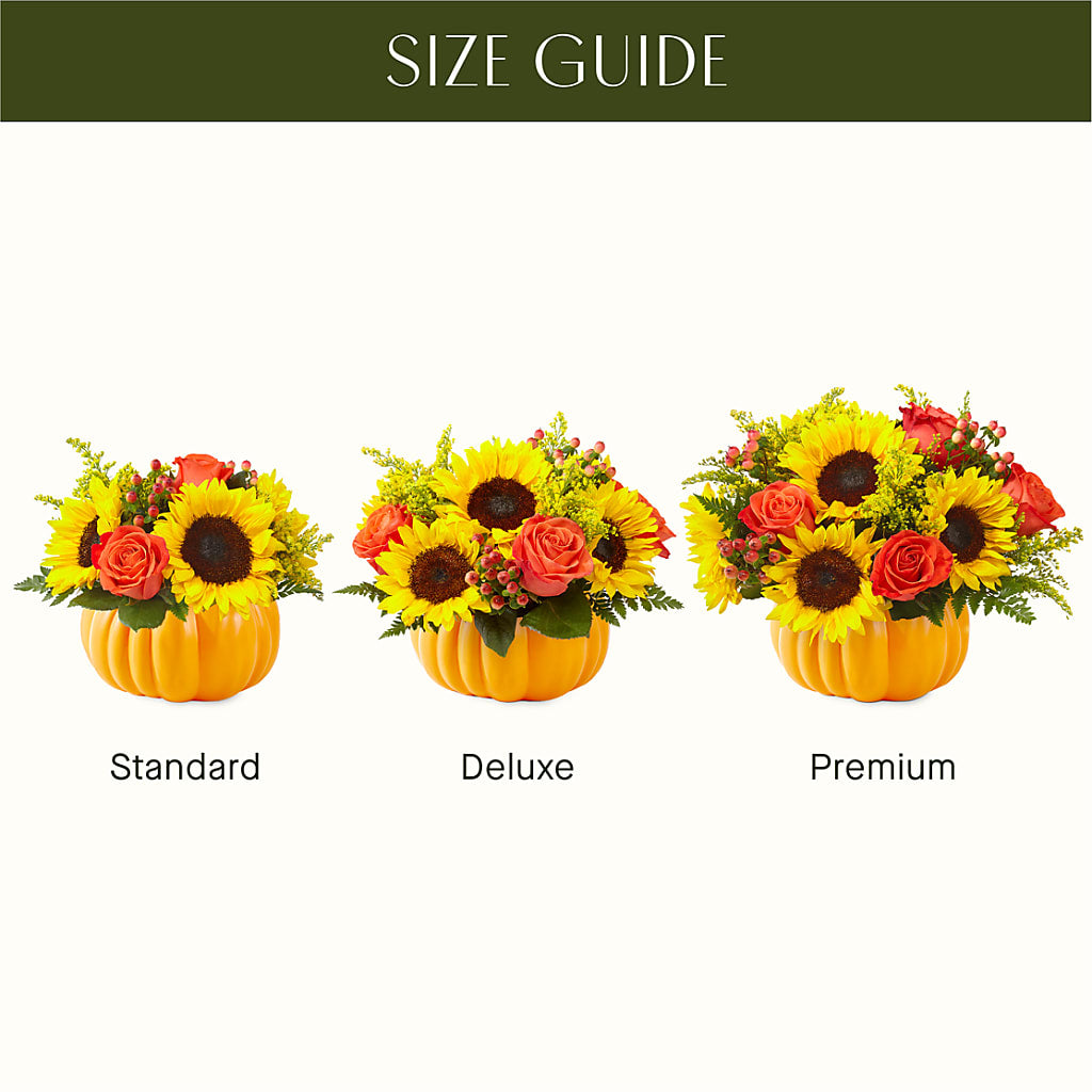 Pick of the Patch Pumpkin Bouquet – Maroa Miami Llc, Miami FL