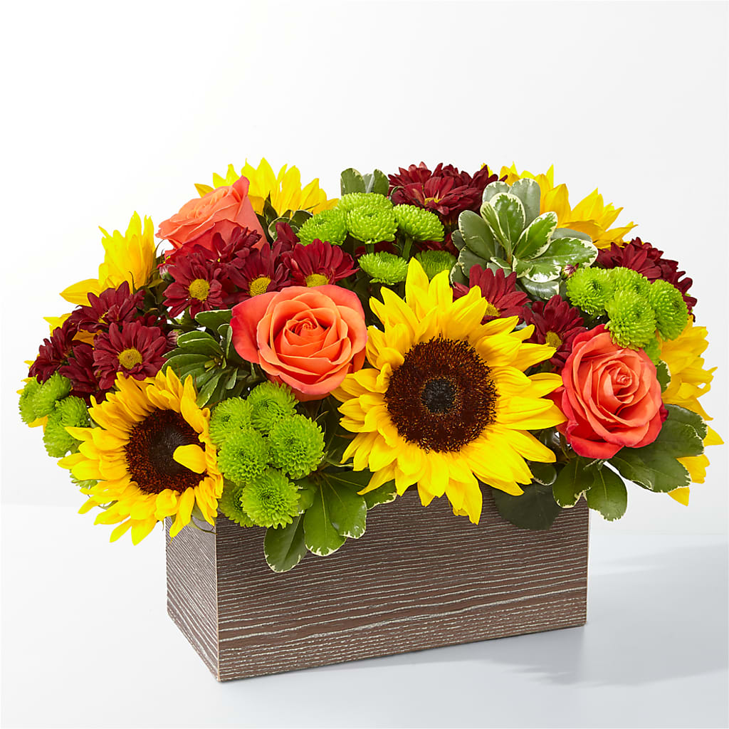 Happy Harvest Garden – Maroa Miami Llc, Miami FL