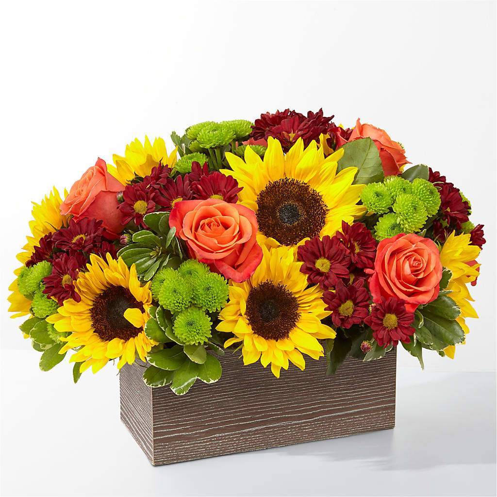 Happy Harvest Garden – Maroa Miami Llc, Miami FL