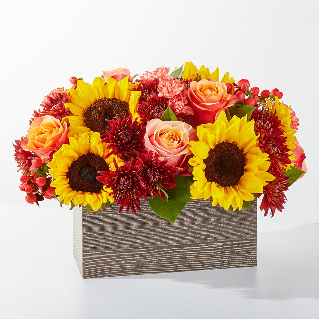 Fresh Cider Bouquet – Maroa Miami Llc, Miami FL