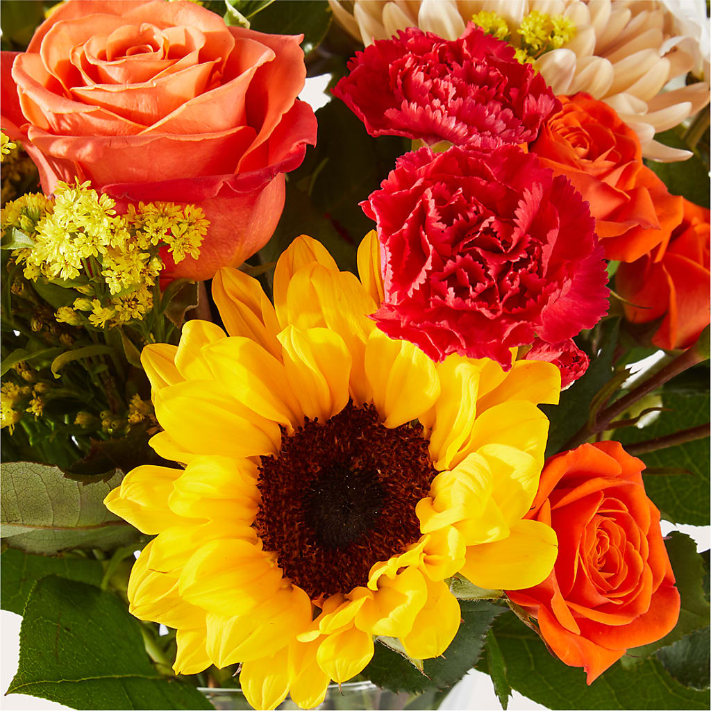 Sweater Season - A Florist Original – Maroa Miami Llc, Miami FL