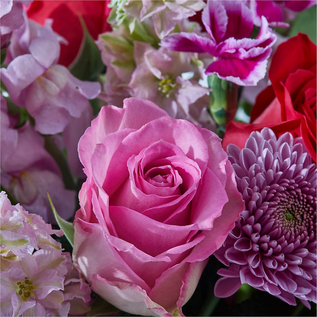 Better Together - A Luxury Florist Original – Maroa Miami Llc, Miami FL