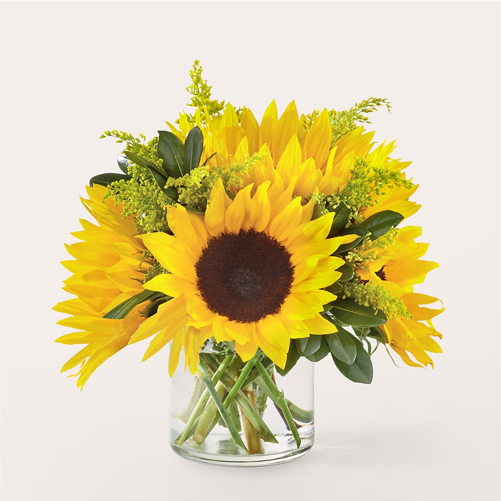 Beaming Sunflower Bouquet – Maroa Miami Llc, Miami FL