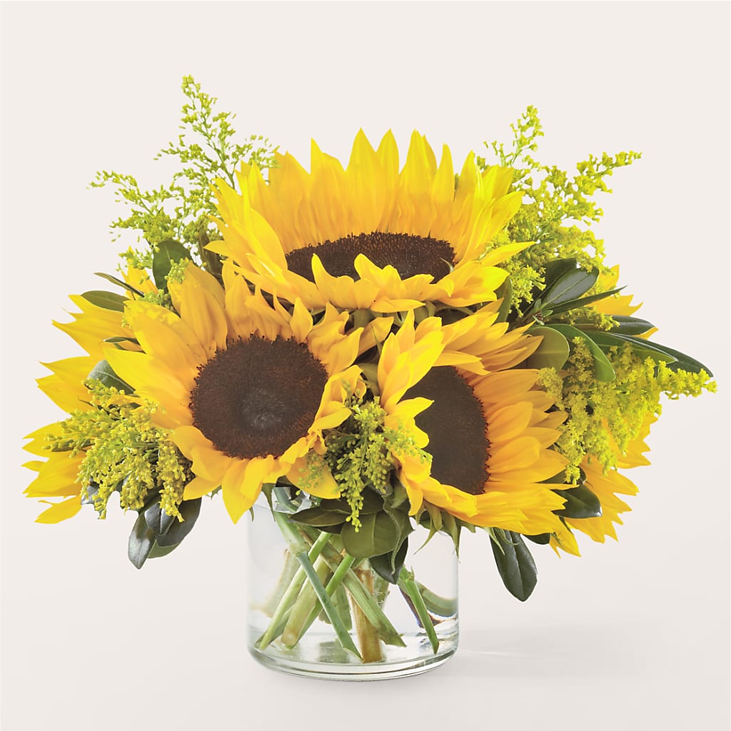 Beaming Sunflower Bouquet – Maroa Miami Llc, Miami FL