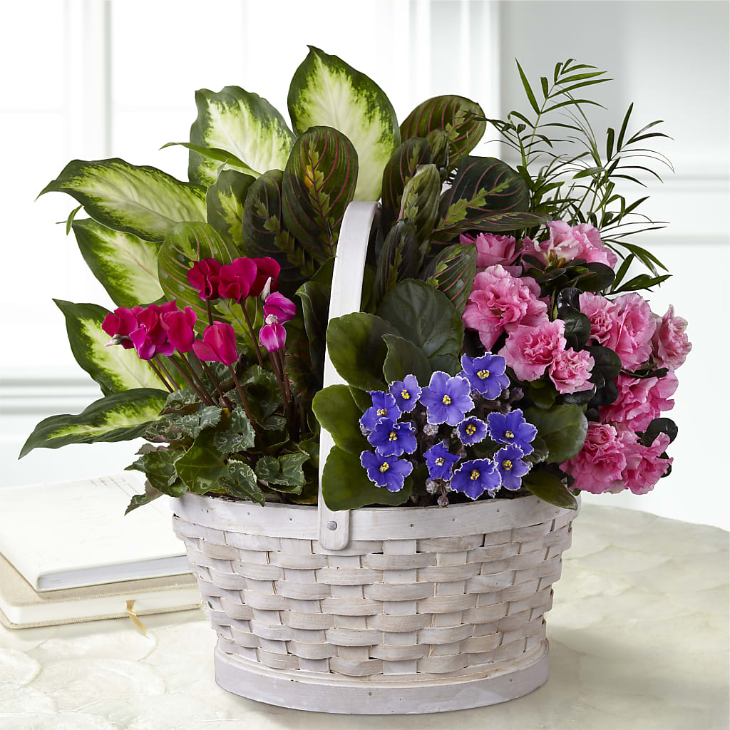 Peaceful Garden Planter – Maroa Miami Llc, Miami FL