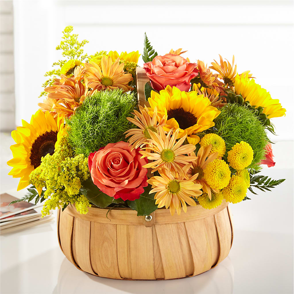 Harvest Sunflower Basket – Maroa Miami Llc, Miami FL