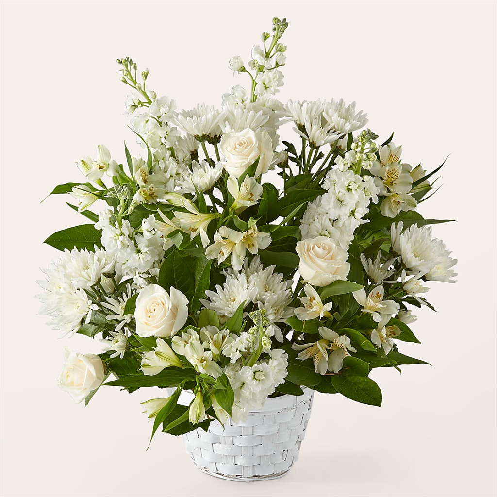 Eternal Affection Arrangement – Maroa Miami Llc, Miami FL