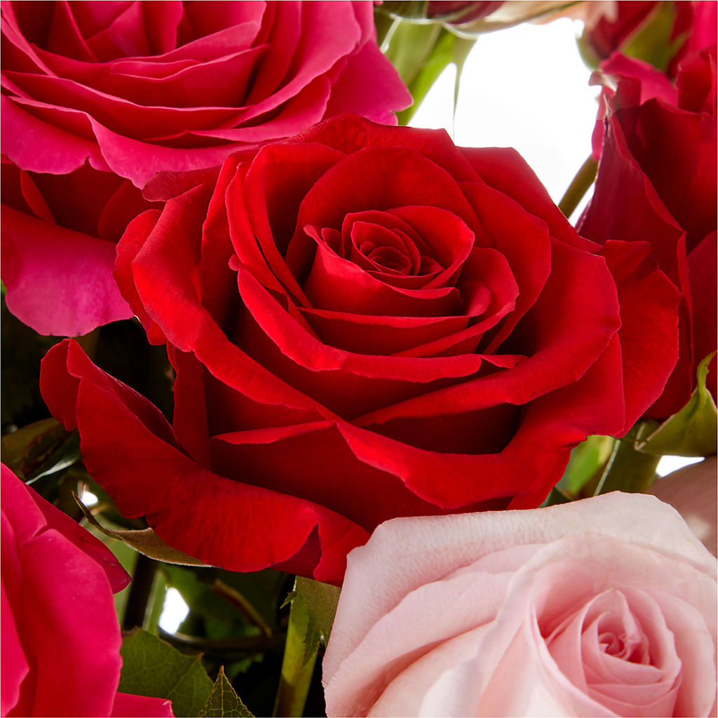 Love Notes Rose Bouquet – Maroa Miami Llc, Miami FL