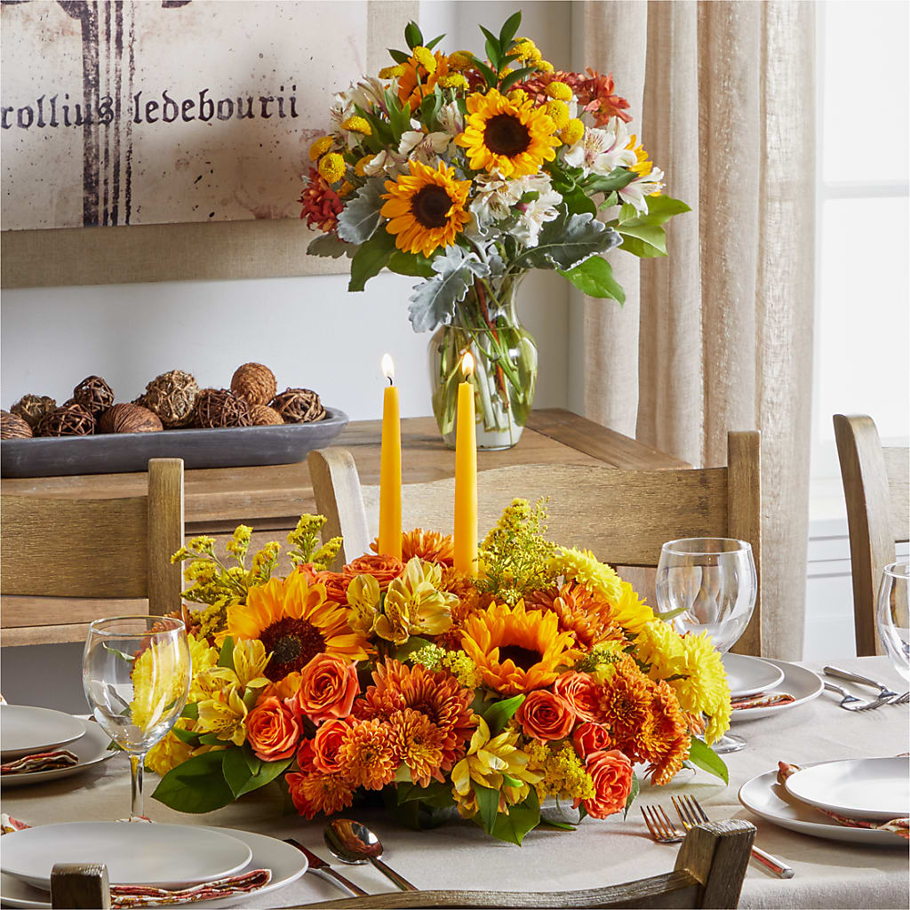 Golden Gathering Bundle – Maroa Miami Llc, Miami FL