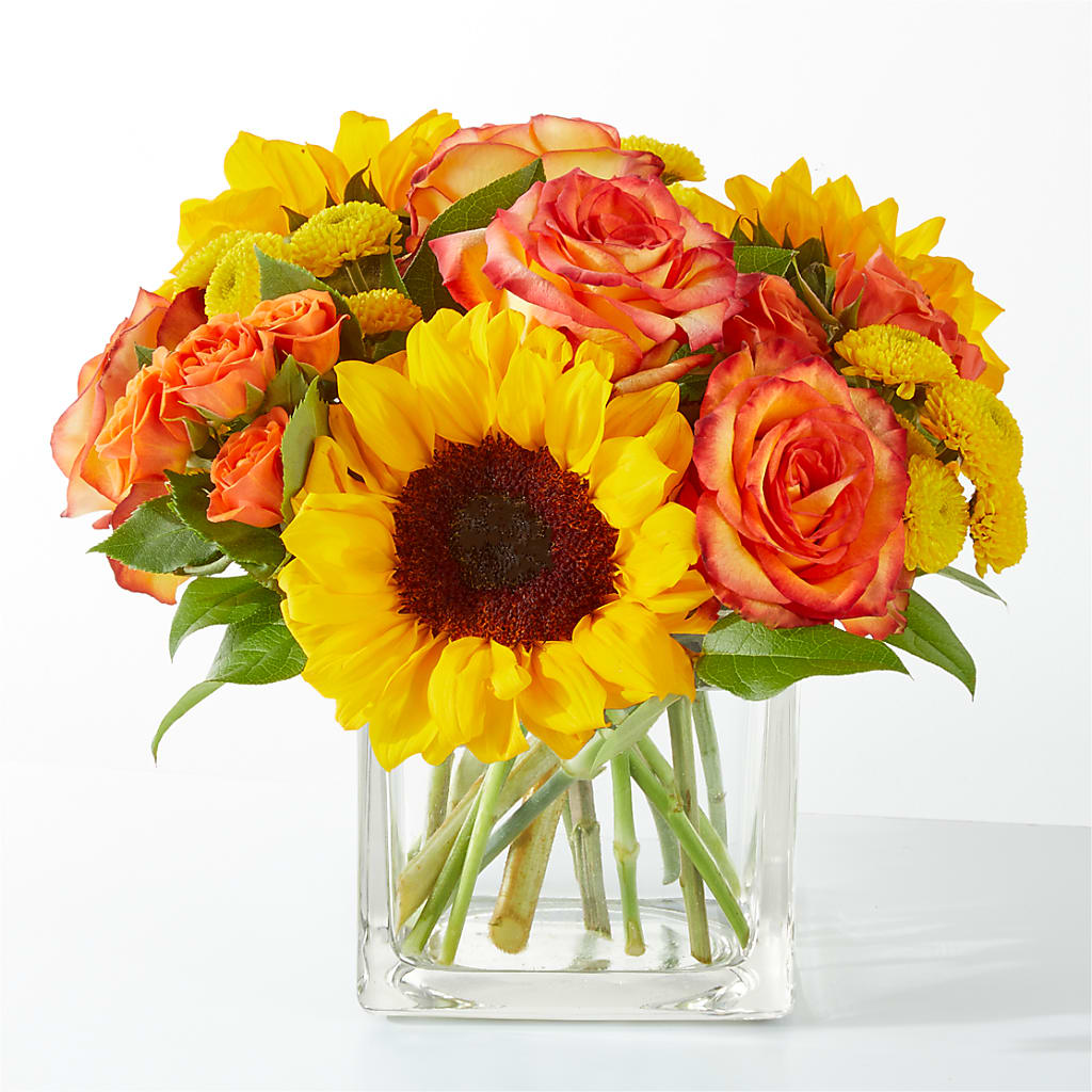 Picnic in the Park Bouquet – Maroa Miami Llc, Miami FL