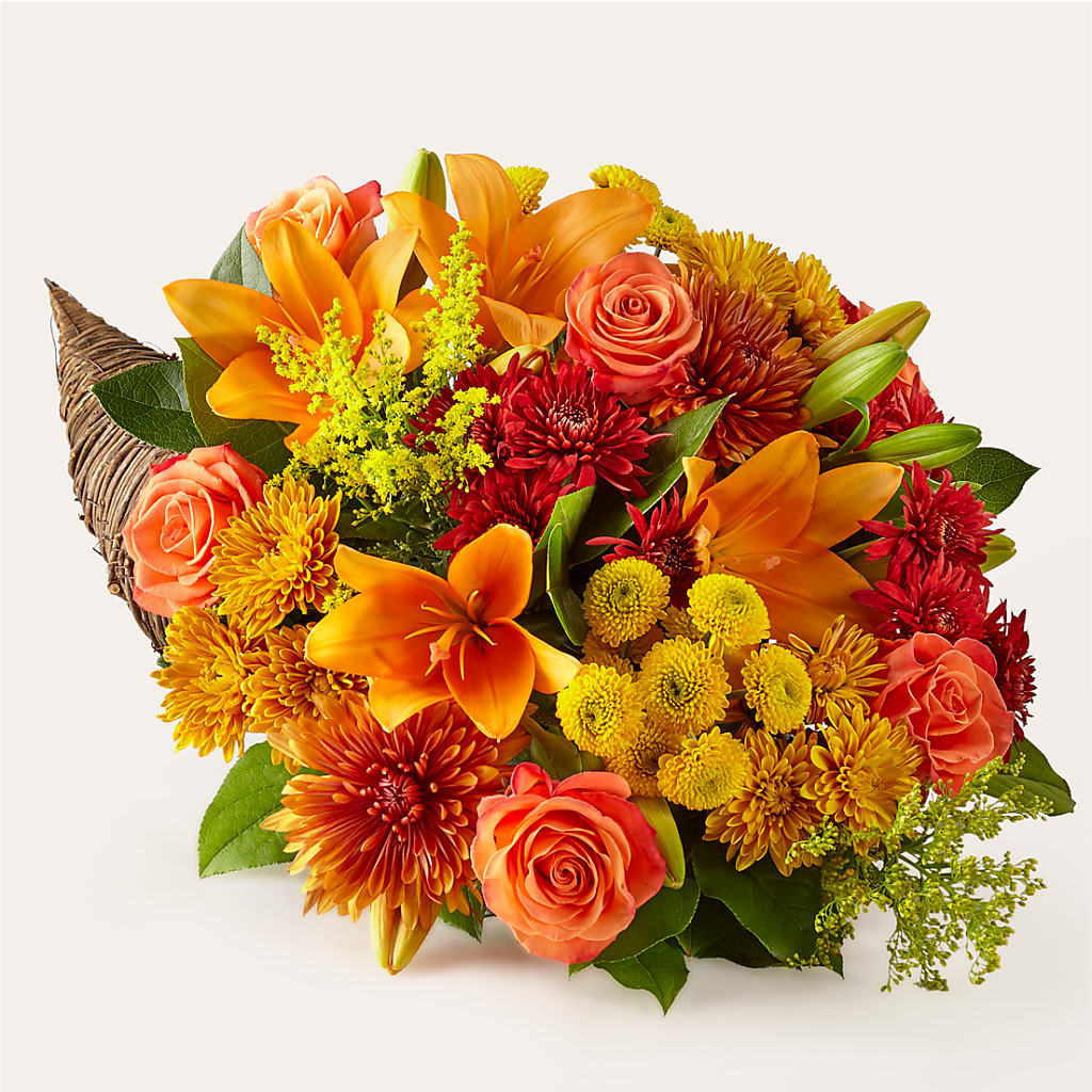 Feast of Color Cornucopia – Maroa Miami Llc, Miami FL