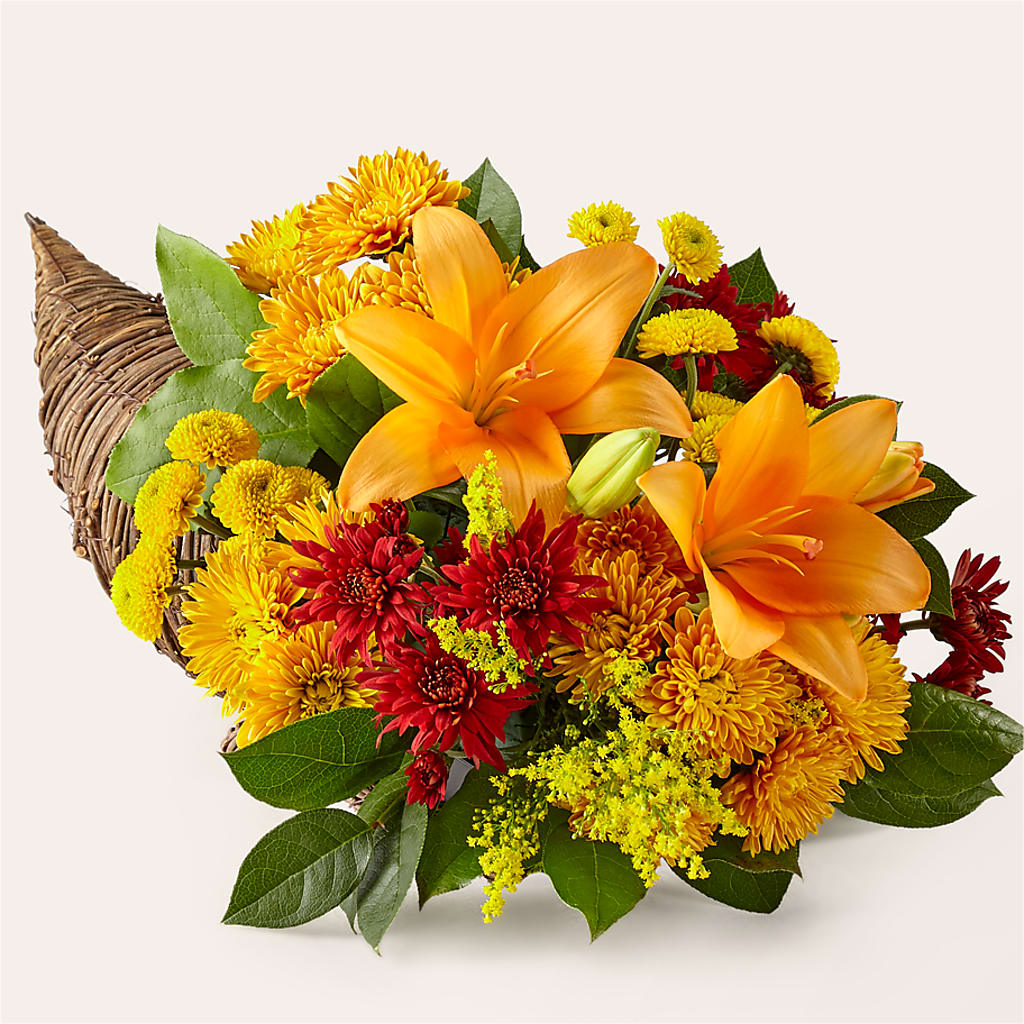 Feast of Color Cornucopia – Maroa Miami Llc, Miami FL