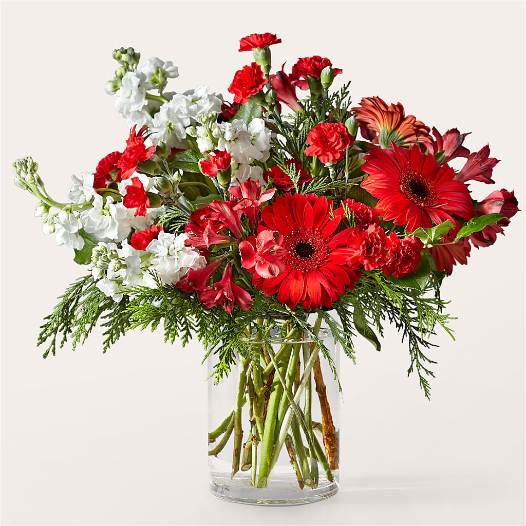 Holidaisy Bouquet – Maroa Miami Llc, Miami FL