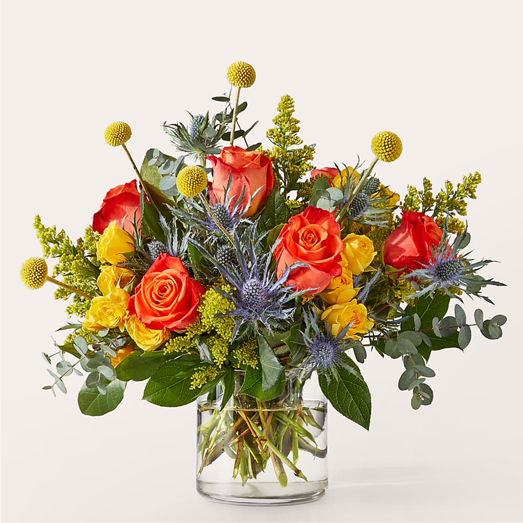 Disco Bouquet – Maroa Miami Llc, Miami FL