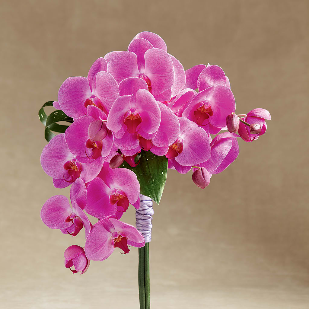 Glorious Bouquet – Maroa Miami Llc, Miami FL
