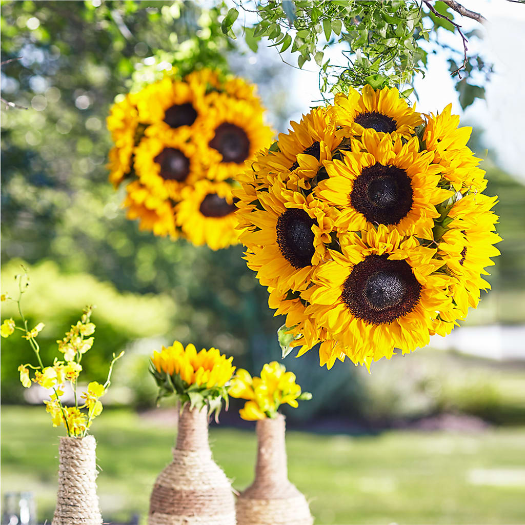 Sublime Garden Hanging Arrangement – Maroa Miami Llc, Miami FL