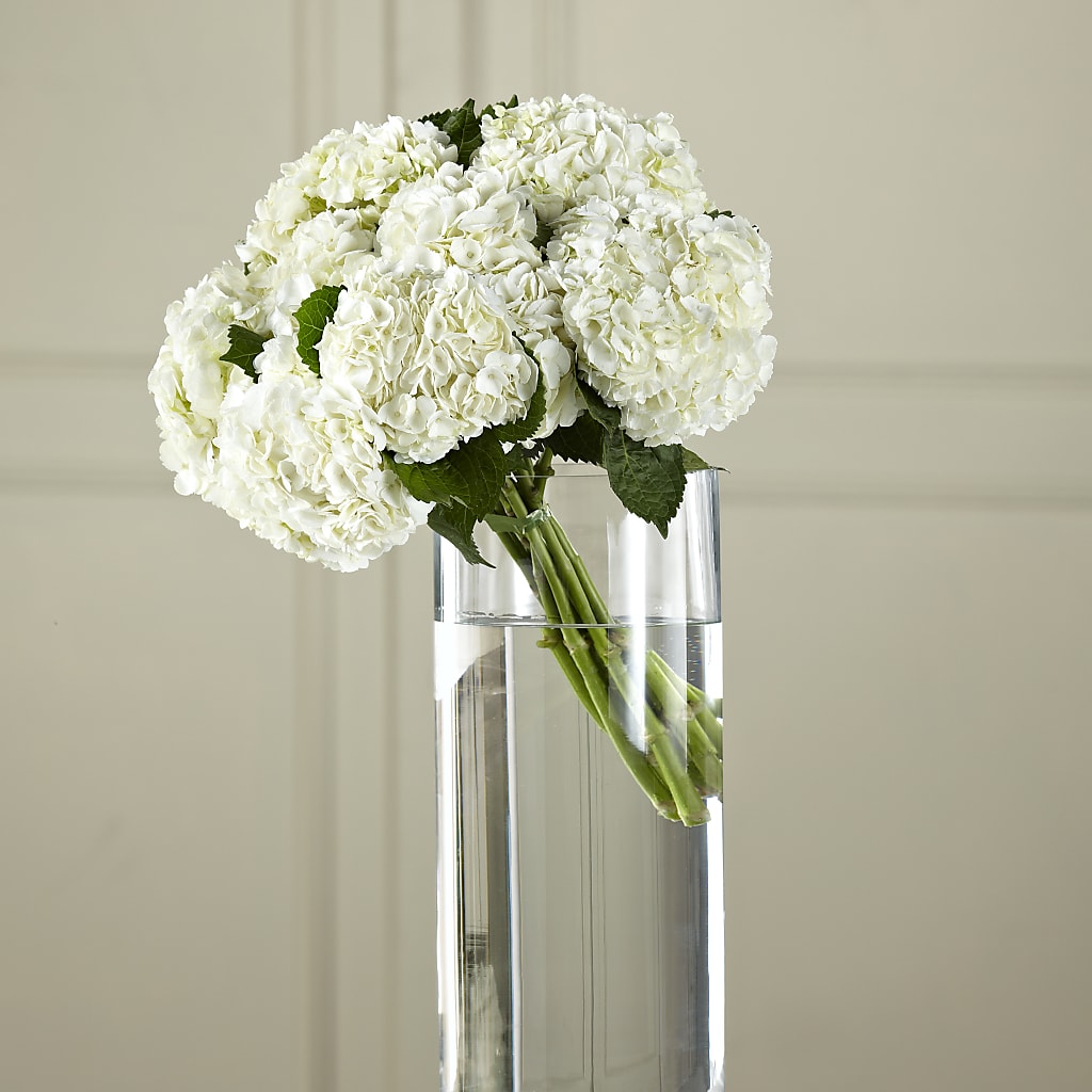 White Hydrangea Hand-Tied Bouquet – Maroa Miami Llc, Miami FL