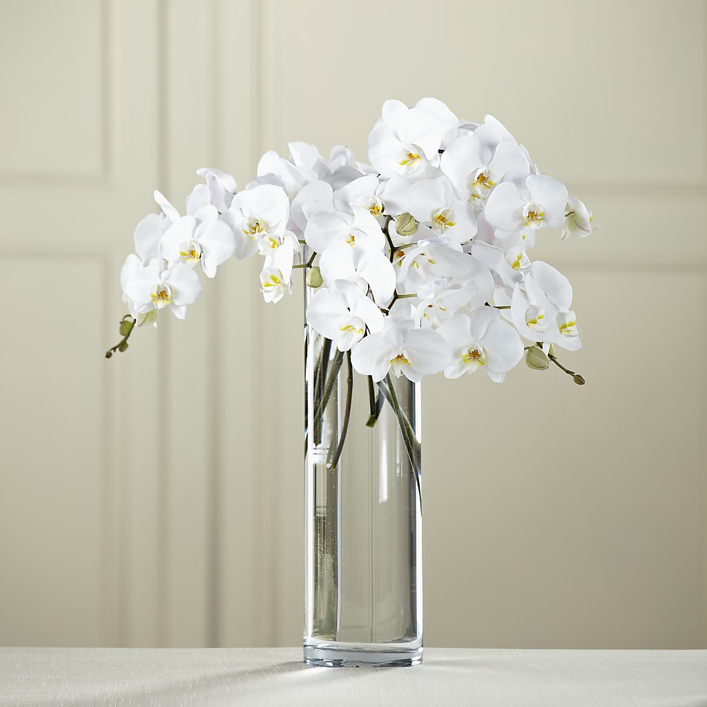 White Phalaenopsis Bouquet – Maroa Miami Llc, Miami FL