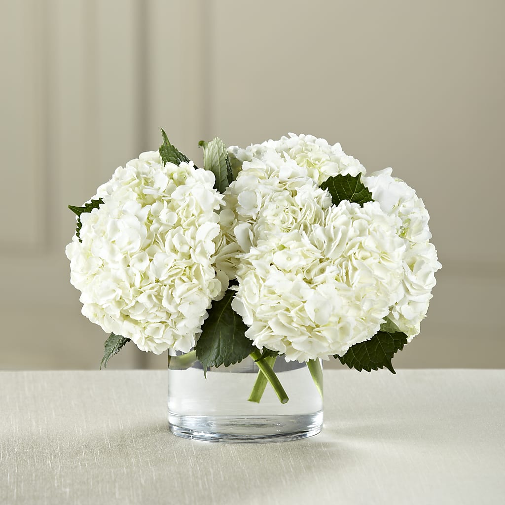 White Hydrangea Bouquet – Maroa Miami Llc, Miami FL