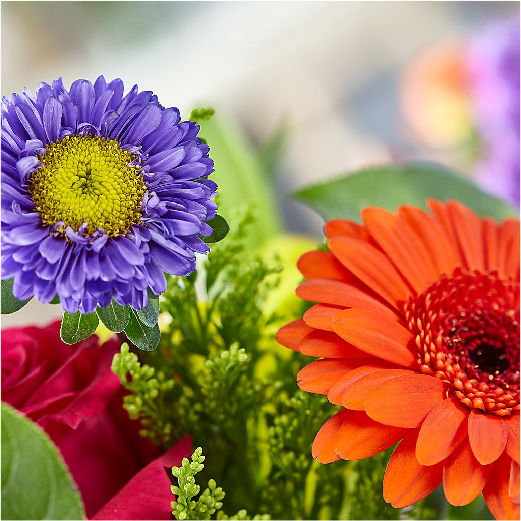 Bold & Bright – A Florist Original –  Maroa Miami Llc, Miami FL
