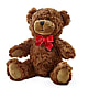 Adorable Plush Bear –  Maroa Miami Llc, Miami FL