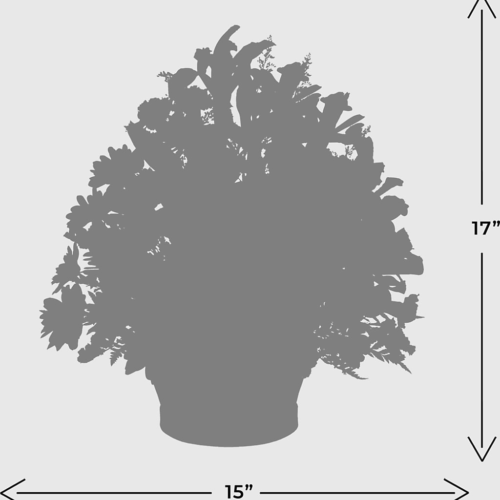 The Wondrous Nature Bouquet –  Maroa Miami Llc, Miami FL