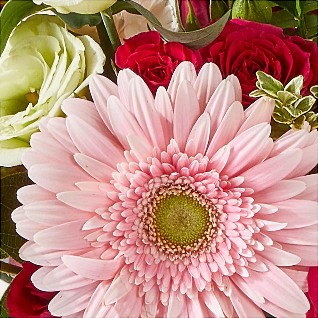 Too Cute Bouquet –  Maroa Miami Llc, Miami FL