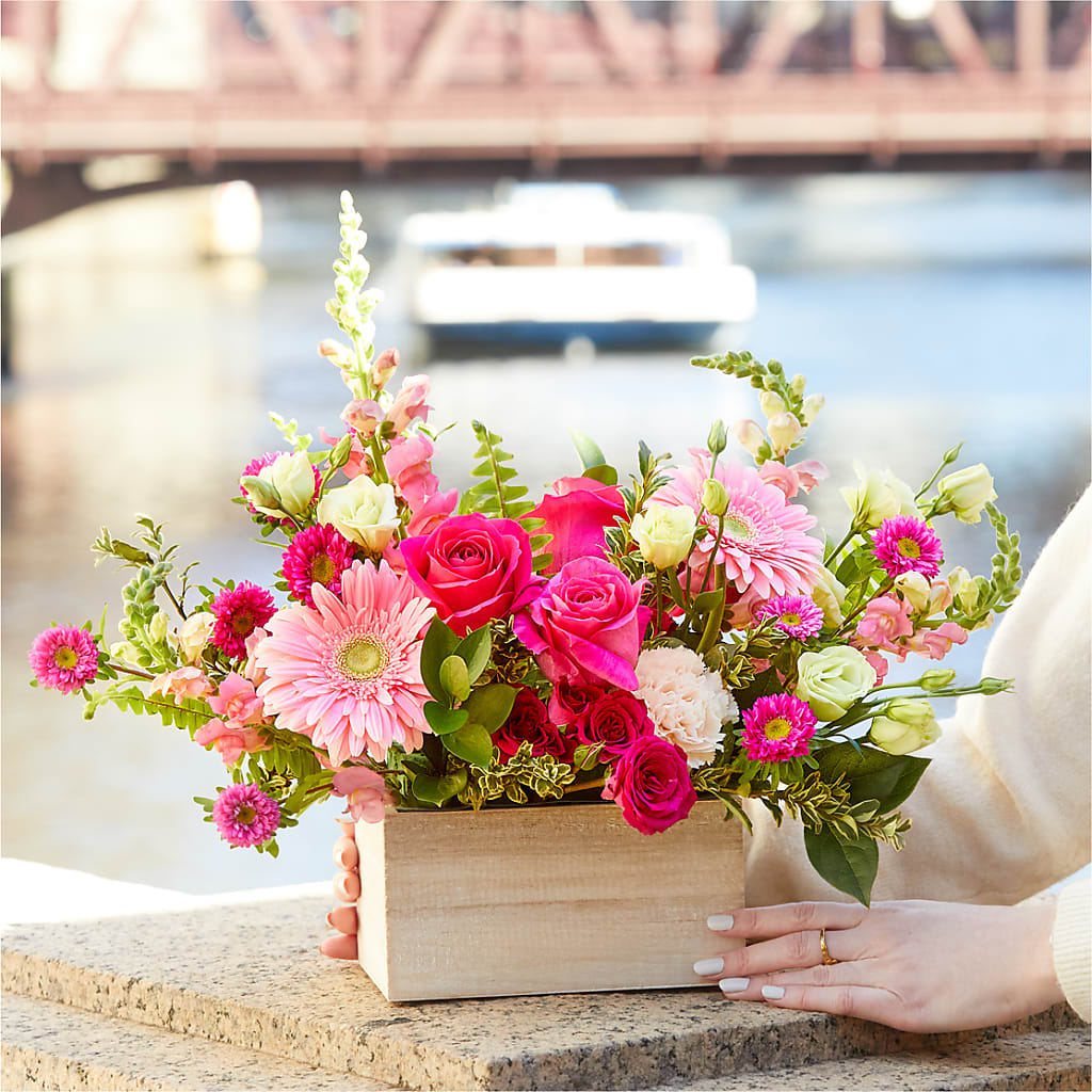 Too Cute Bouquet –  Maroa Miami Llc, Miami FL