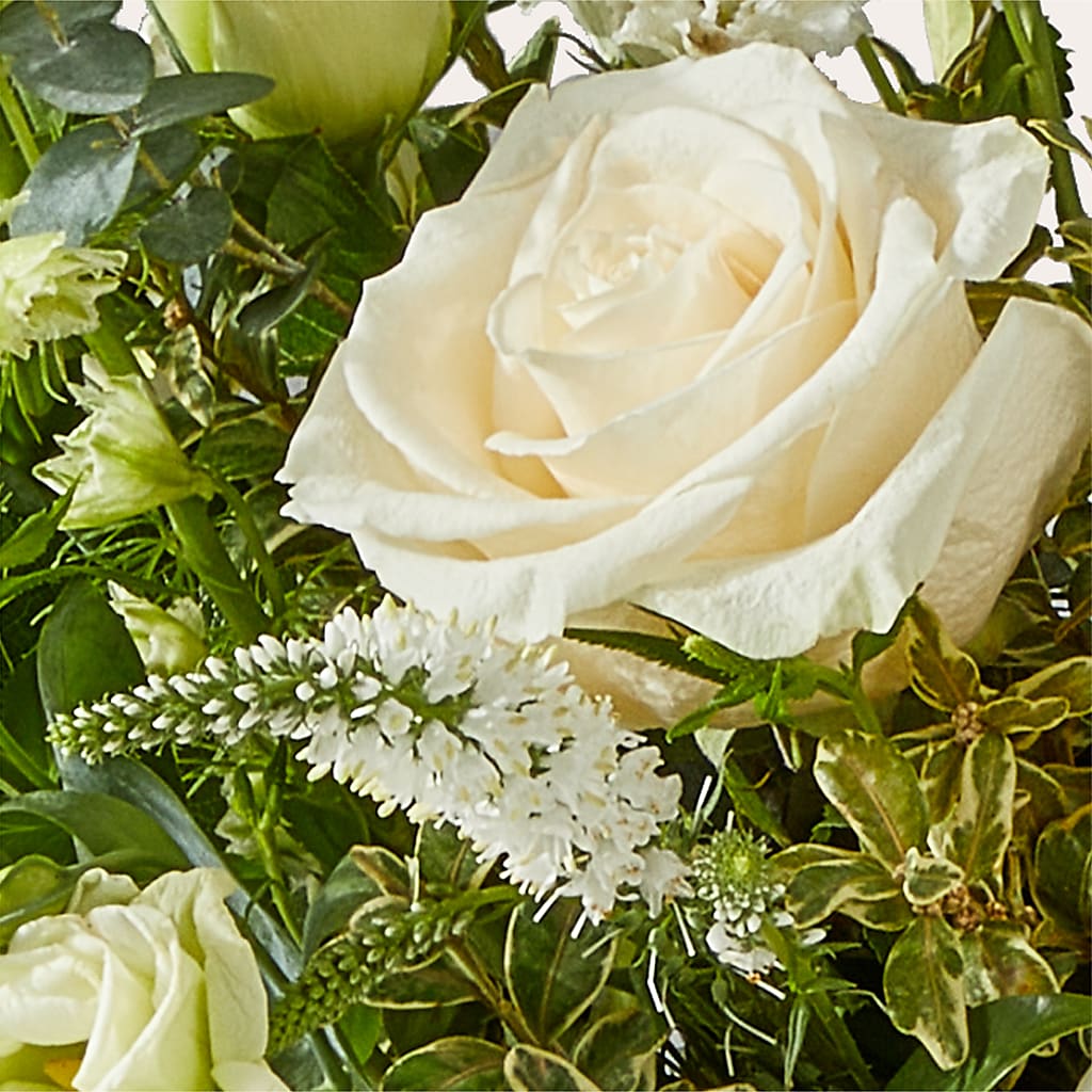 Cashmere Bouquet –  Maroa Miami Llc, Miami FL