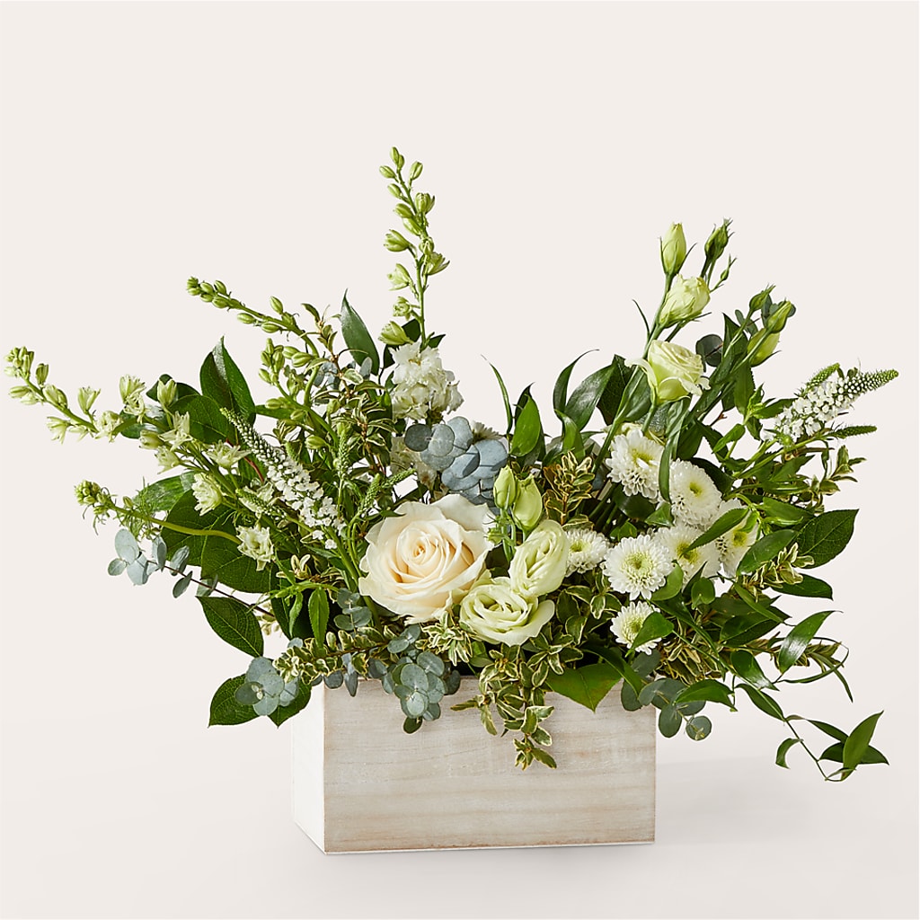 Cashmere Bouquet –  Maroa Miami Llc, Miami FL