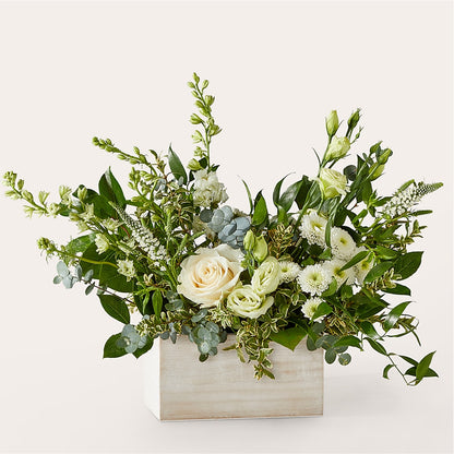 Cashmere Bouquet –  Maroa Miami Llc, Miami FL