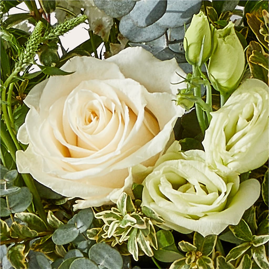 Cashmere Bouquet –  Maroa Miami Llc, Miami FL