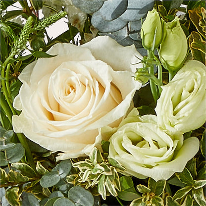 Cashmere Bouquet –  Maroa Miami Llc, Miami FL