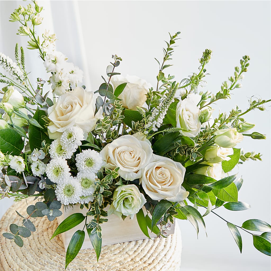 Cashmere Bouquet –  Maroa Miami Llc, Miami FL